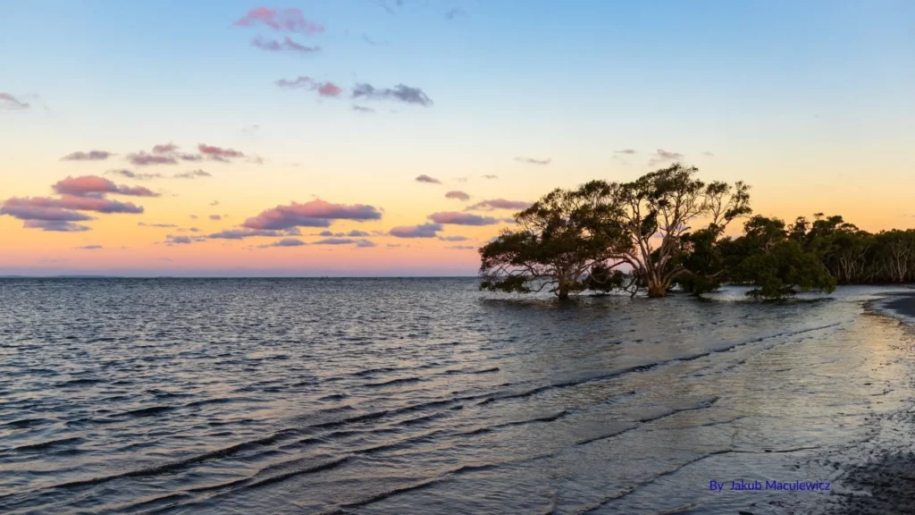 Sunset over mangroves and tidal flats at Nudgee Beach, Brisbane, Queensland