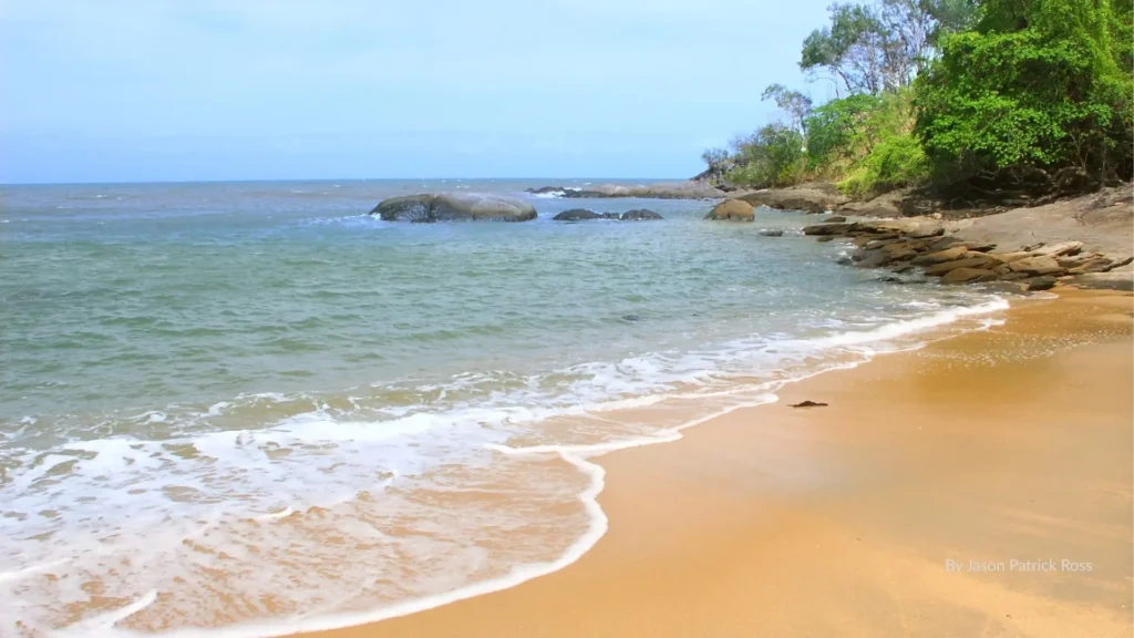 Trinity Beach in Cairns, Queensland, with golden sand, calm waves, and palm trees backed by green headlands