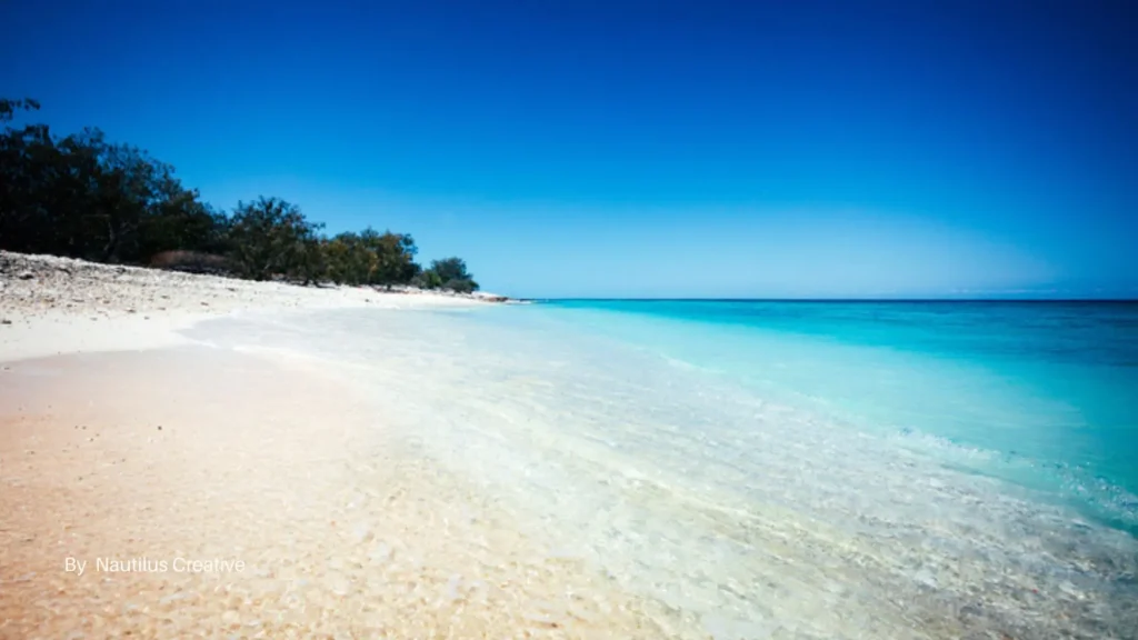 Lady Elliot Island Southern Great Barrier Reef white sand beach and clear turquoise water
